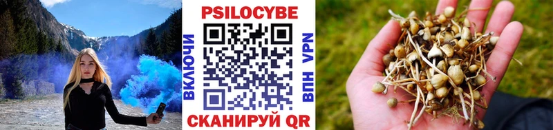 Галлюциногенные грибы Cubensis  Купить где  Десногорск 